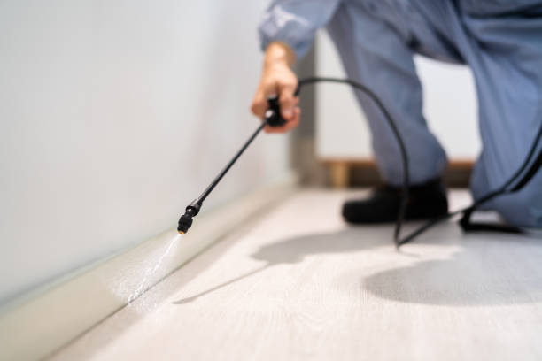 Licensed Pest Control service in Moosic, PA - Show Me Pest Control