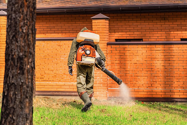 Top rated local Mosquito Control specialists in Moosic, PA